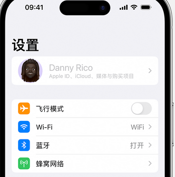 播州appleID维修服务iPhone设置中Apple ID显示为灰色无法使用