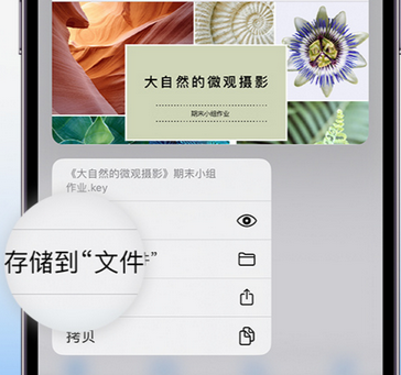 播州apple维修中心分享iPhone文件应用中存储和找到下载文件