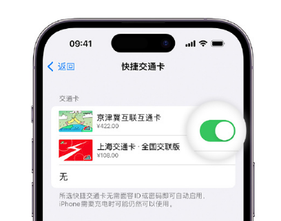 播州apple维修点分享iPhone上更换Apple Pay快捷交通卡手绘卡面 