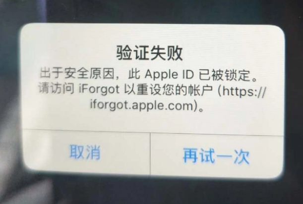 播州iPhone维修分享iPhone上正常登录或使用AppleID怎么办 