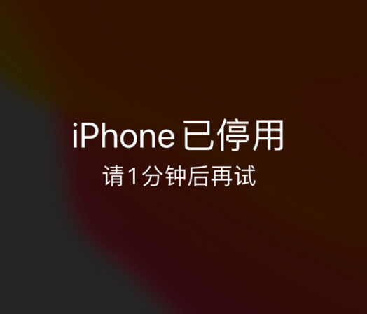 播州苹果手机维修分享:iPhone 显示“不可用”或“已停用”怎么办？还能保留数据吗？ 