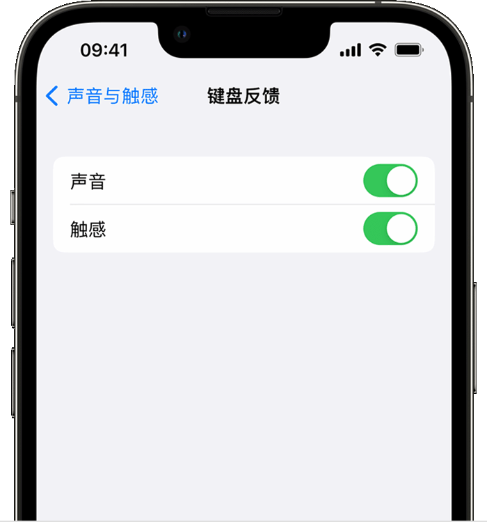 播州苹果14维修店分享如何在 iPhone 14 机型中使用触感键盘 