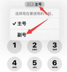 播州苹果14维修店分享iPhone 14 Pro Max使用副卡打电话的方法 