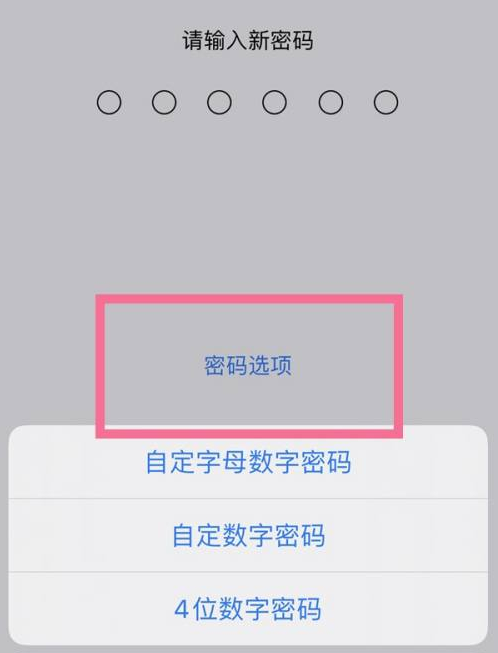 播州苹果14维修分享iPhone 14plus设置密码的方法 