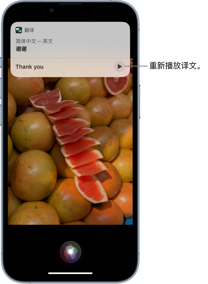 播州苹果14维修分享 iPhone 14 机型中使用 Siri：了解 Siri 能帮你做什么 