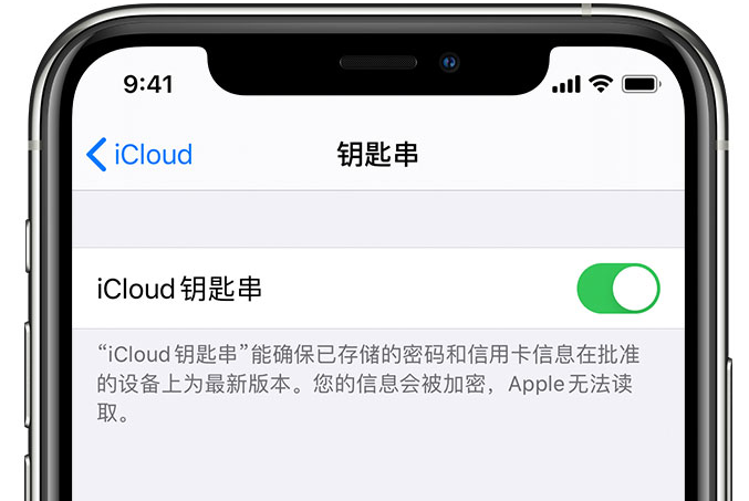 播州苹果手机维修分享在 iPhone 上开启 iCloud 钥匙串之后会储存哪些信息 