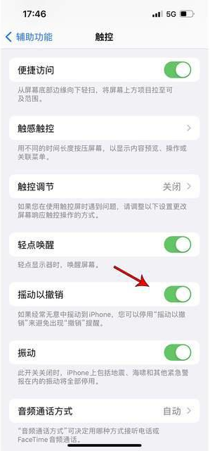 播州苹果手机维修分享iPhone手机如何设置摇一摇删除文字 